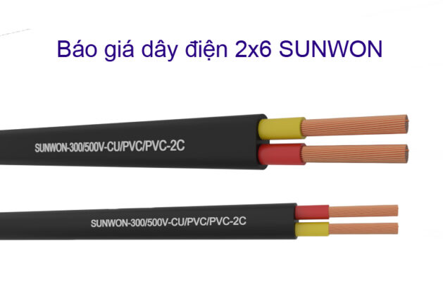 day-dien-2x6