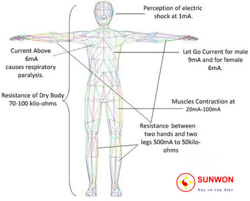 ảnh hưởng của dòng điện đến cơ thể