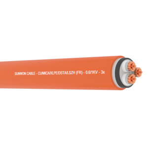 Cáp chống cháy, giáp băng thép SUNWON 0.61kV DSTAFR-PVC 3x 19 sợi (3)