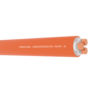 Cáp chống cháy, không giáp SUNWON - 0.61kV FR-PVC 3x 61 sợi