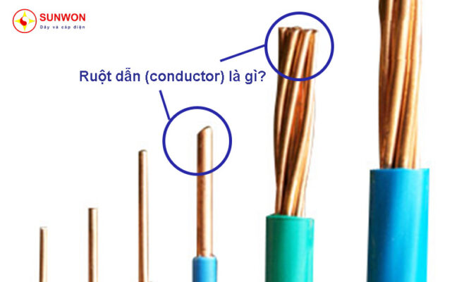 ruột-dẫn-là-gì