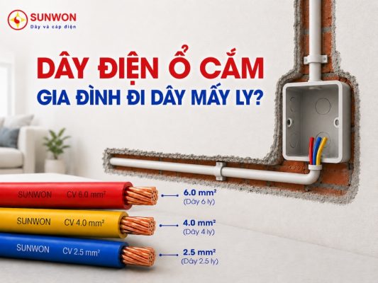 giay-dien-o-cam-gia-dinh-di-day-may-ly